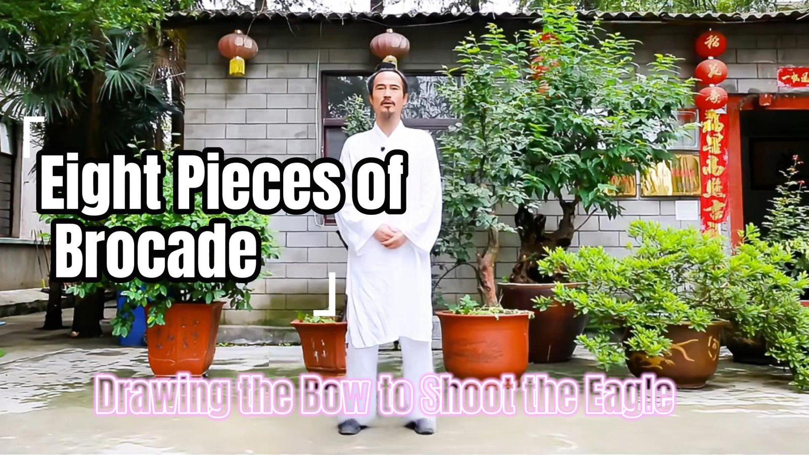 Drawing the Bow to Shoot the Eagle A Classical Baduanjin Qigong Practice for Power and Balance