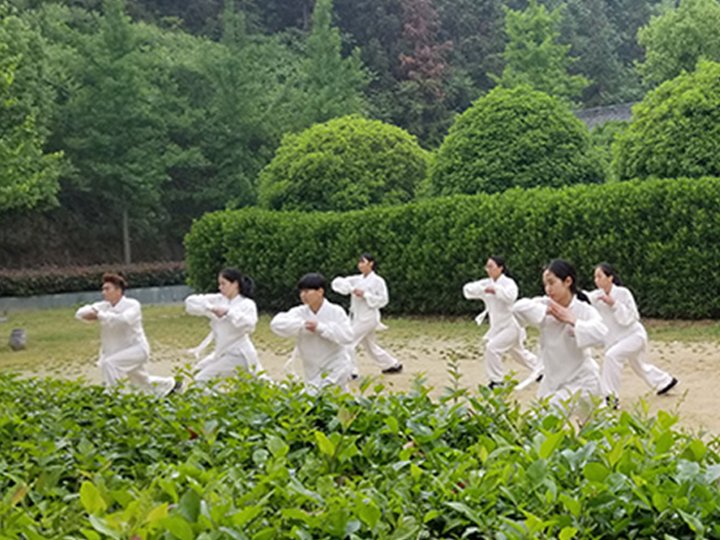 The Art of Tai Chi: Flowing with Heart and Form