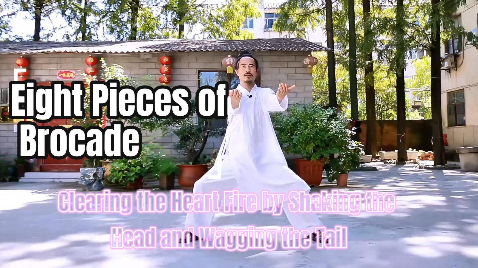 Eight Pieces of Brocade (Baduanjin) Shaking the Head and Wagging the Tail to Clear the Heart Fire Calming the Mind & Releasing Excess Heat
